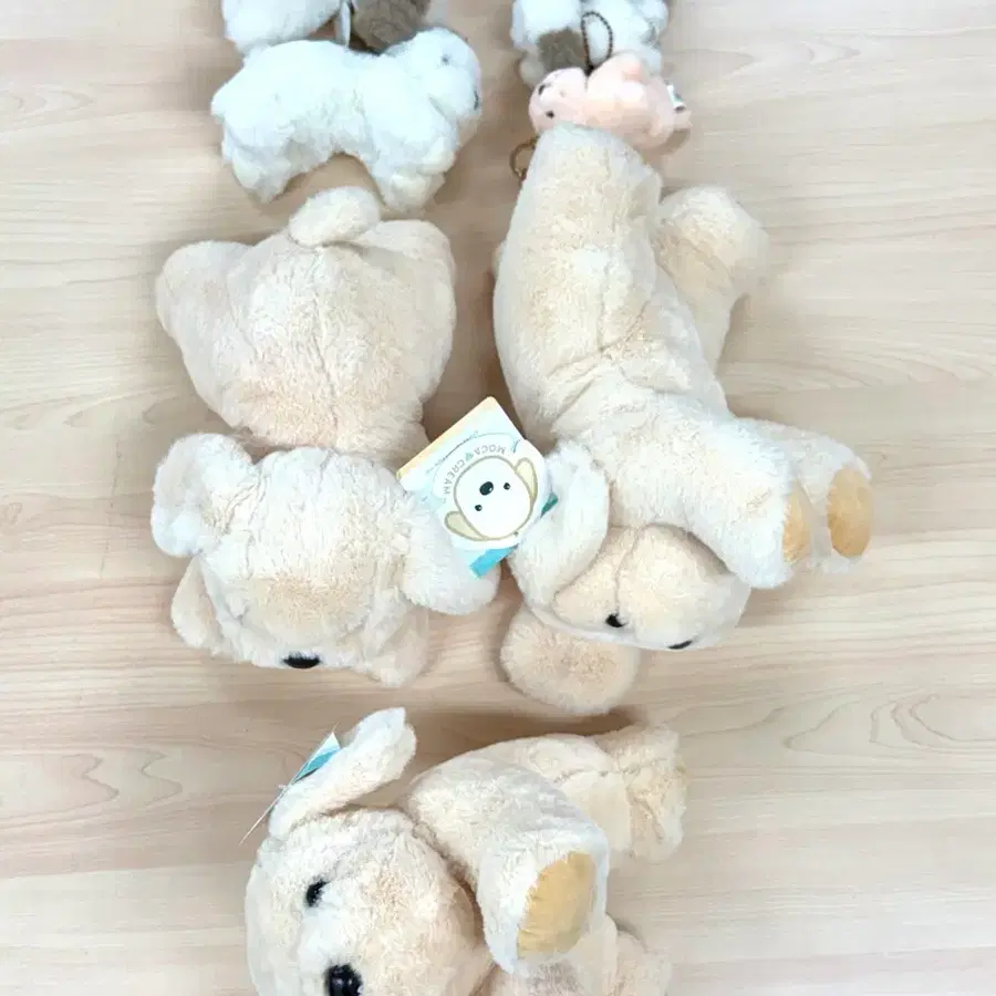 모카 크림 강아지 중형소형인형뽑기 키링열쇠가방고리인형 (일괄)