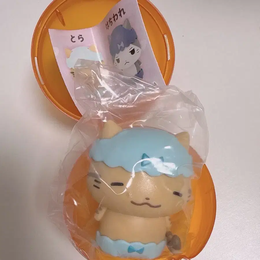 네코팬츠(네코판츠) 팬티고양이 토라 판매
