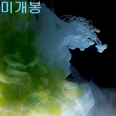 화나 (Fana) - 4집 / FANAbyss (미개봉, CD)