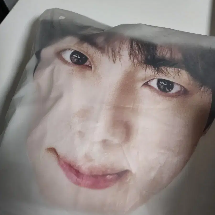 런석진 고양 얼굴 우비