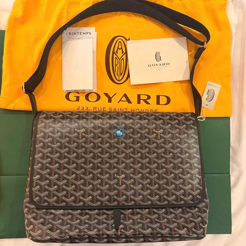 고야드 Goyard Capetien MM 카펜티엔 메신저백 사진 1