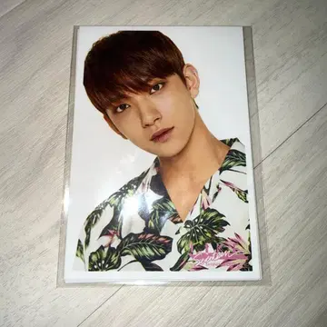 SEVENTEEN 조슈아 브로마이드 5장 세트