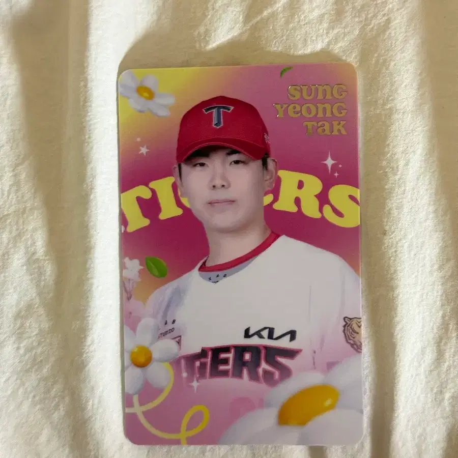 성영탁 봄호랑이 포카 포토카드