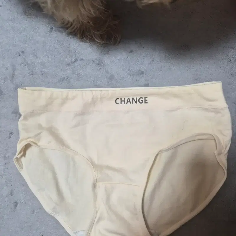 (중고) 데일리 여성팬티 속옷