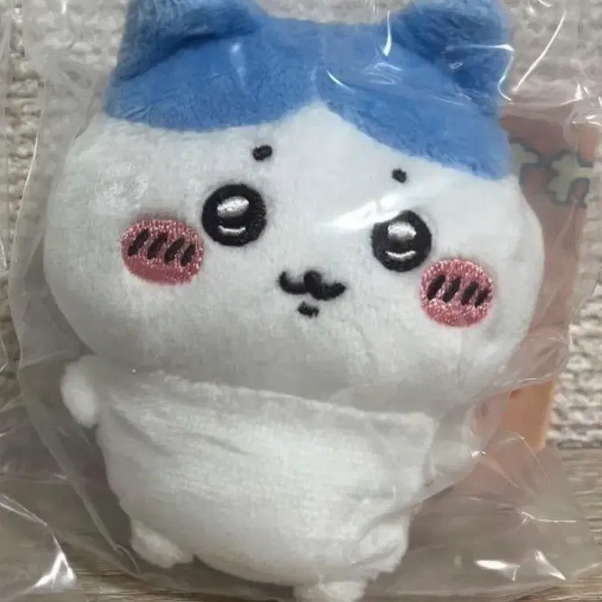 하치와레 앉은누이