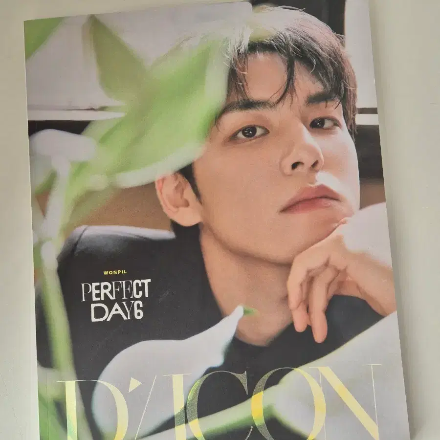 데이식스 원필 디아이콘 B type