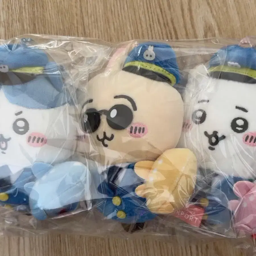치이카와 하치와레 도쿄 공항 한정 지역 마코