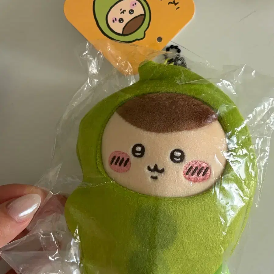 콩쿠리 콩쿠리만쥬 치이카와 먼작귀 쿠리만쥬