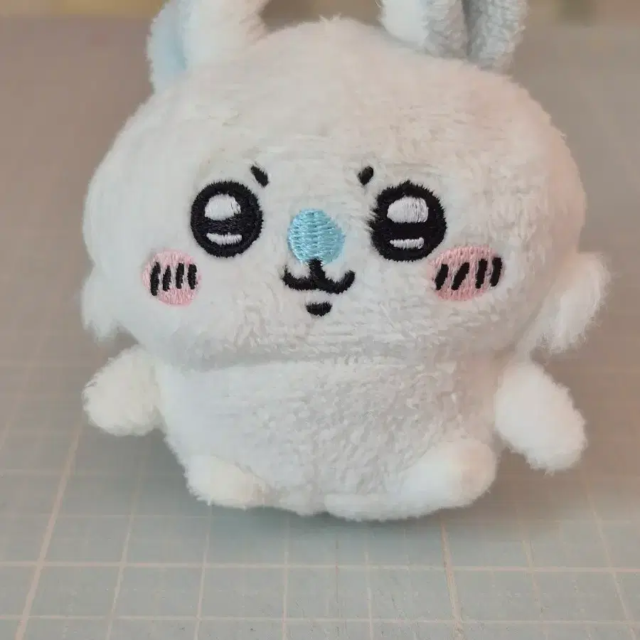 치이카와 모몽가 누이 가챠