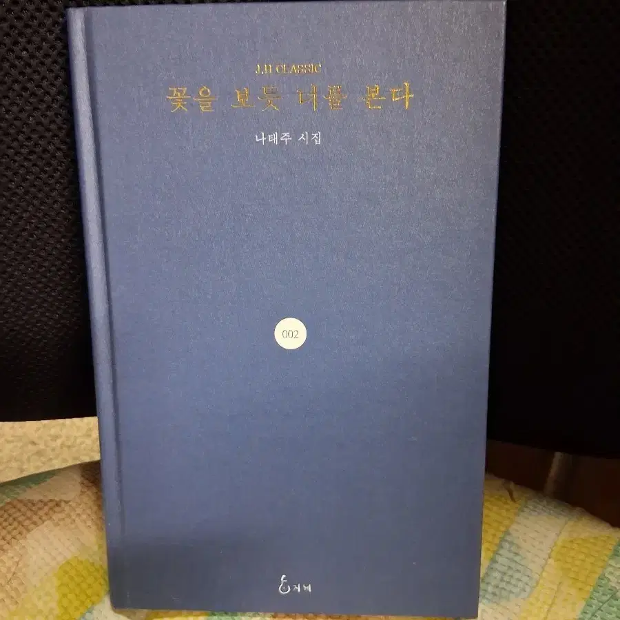 *꽃을 보듯 너를 본다 나태주 시집