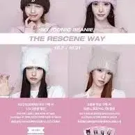 셋트