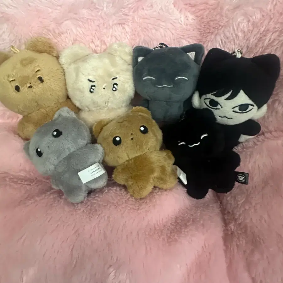 더보이즈 현재 주연 인형 일괄양도