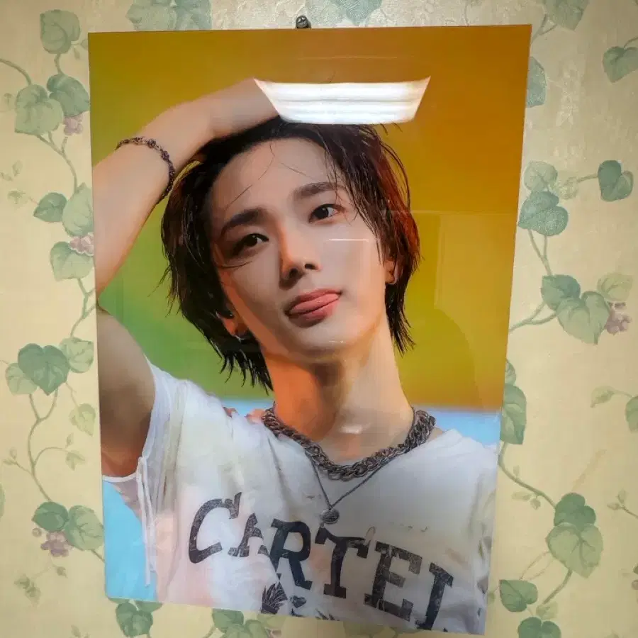 성호 액자