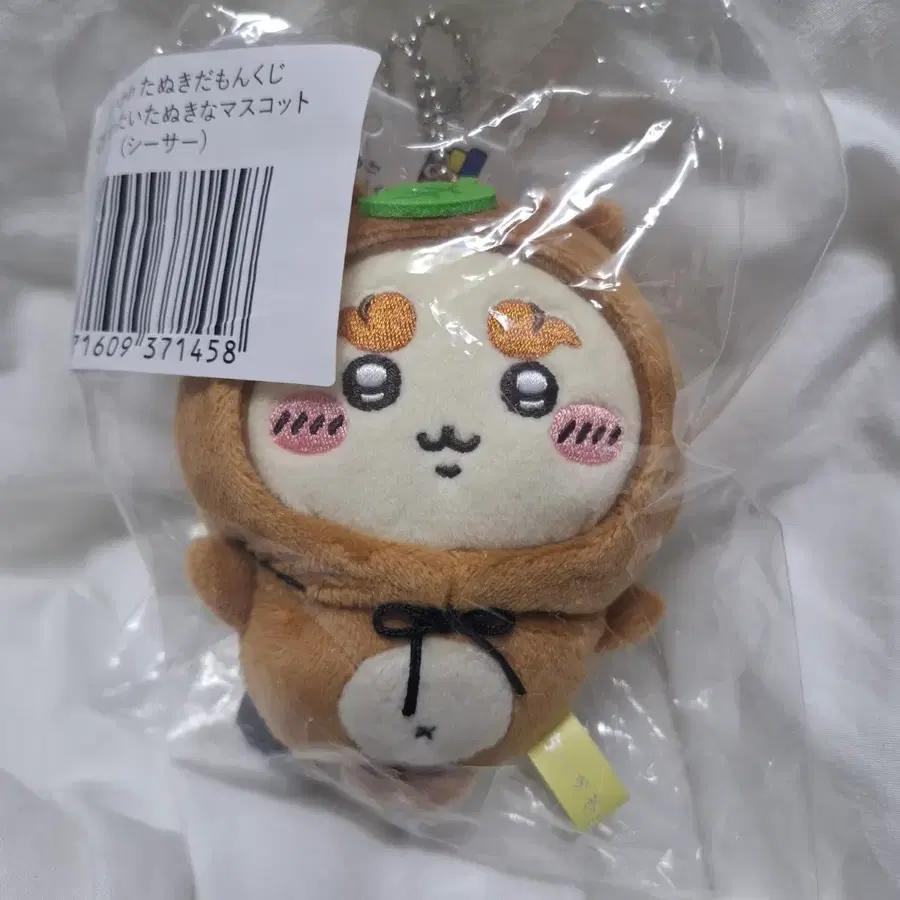 치이카와 너구리 쿠지 c상 너구리 시사