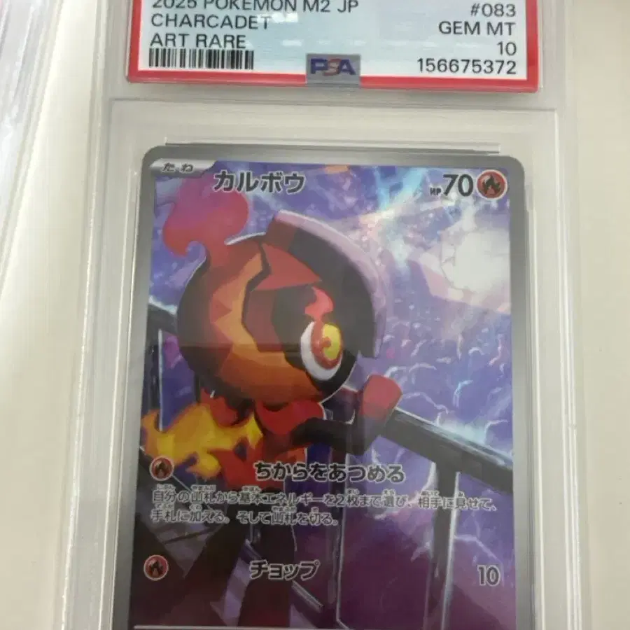 폰켓몬스터 카르보우 ar psa10