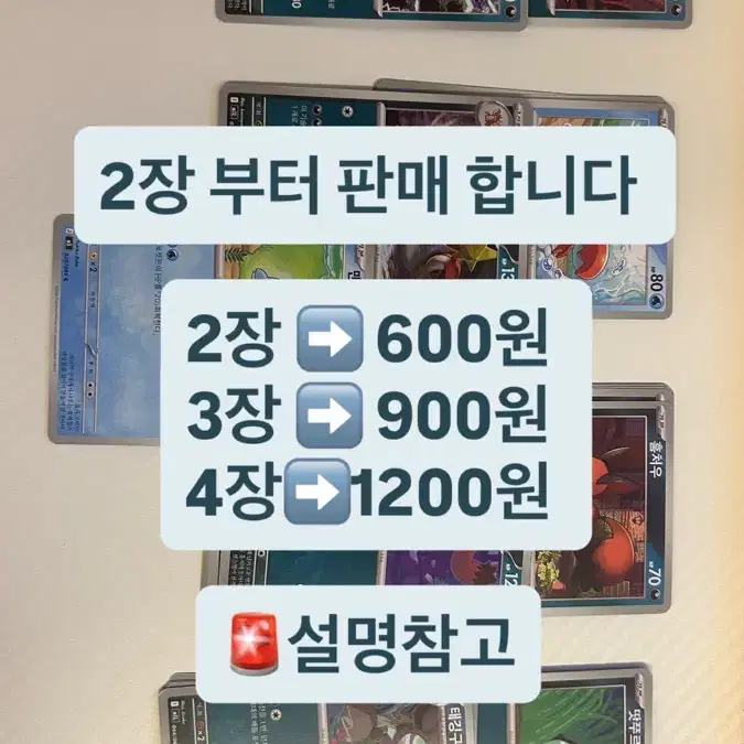 포켓몬 카드 물 타입 악 타입