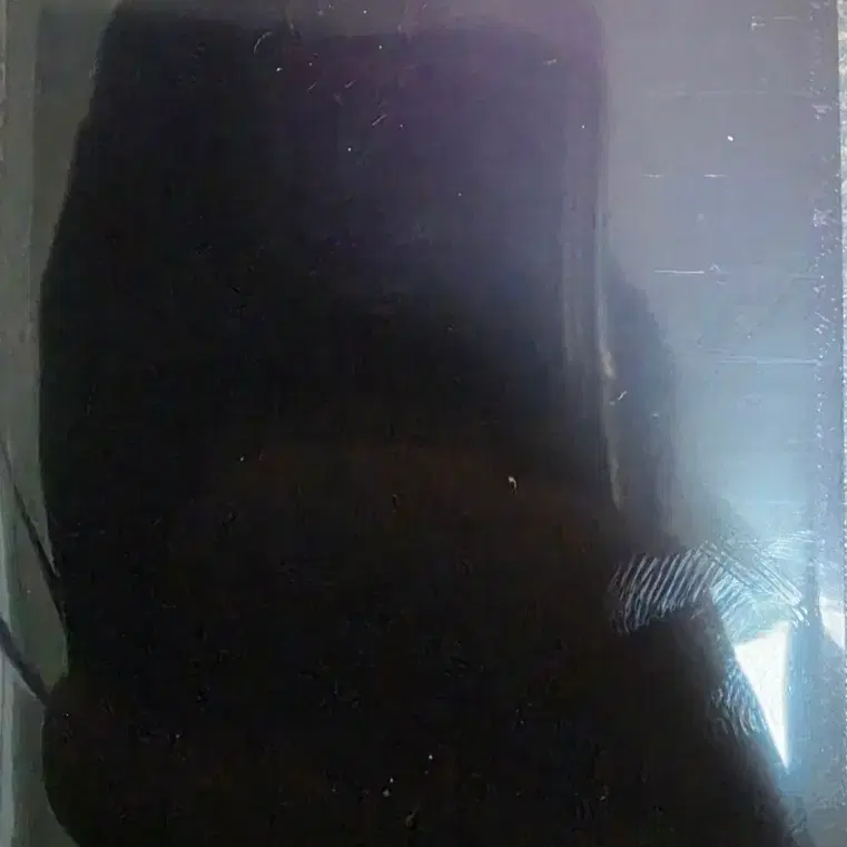 니쥬 마유카 폴라 팜