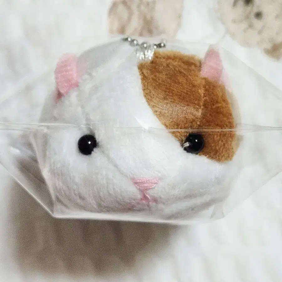 어뮤즈 쁘띠마루 모르모트 기니피그 미니 마스코트 팝니다.