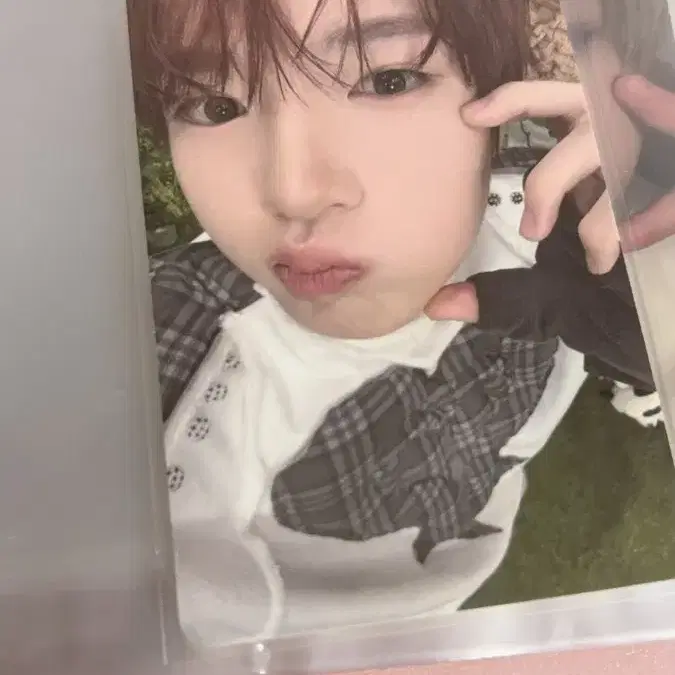 사쿠야 포카