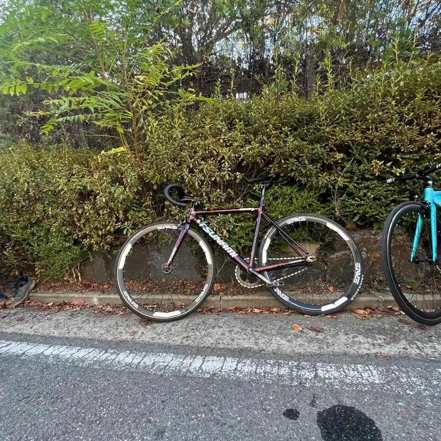 쓰나미 불꽃레드 판대 (브렉있음 ㄱㄹ)