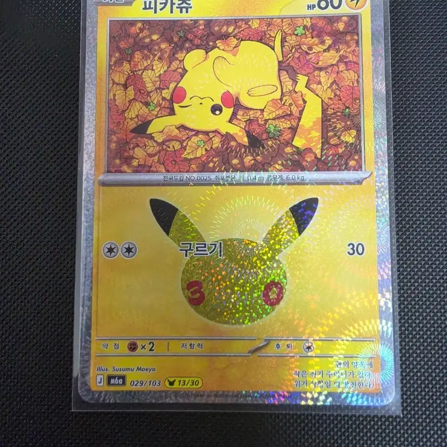 포켓몬카드 30주년 피카츄 13/30