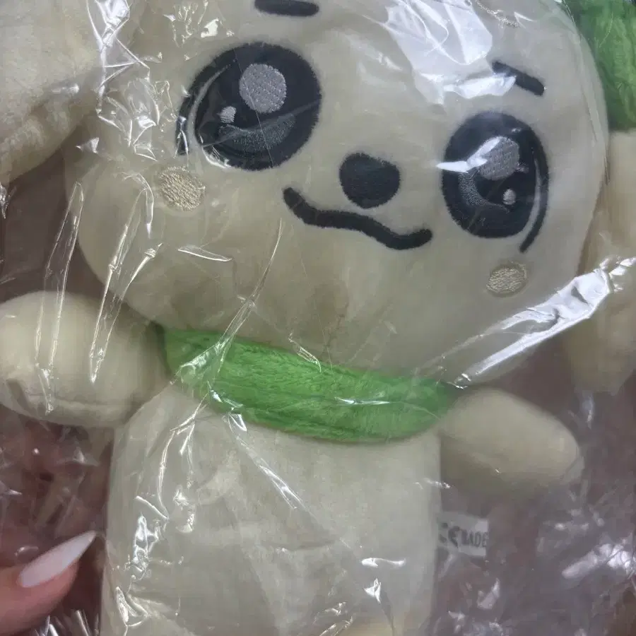 아이브 강안지
