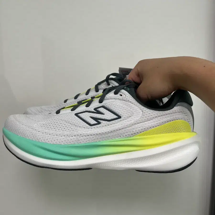뉴발란스 1080v15 2E M10808MP 270