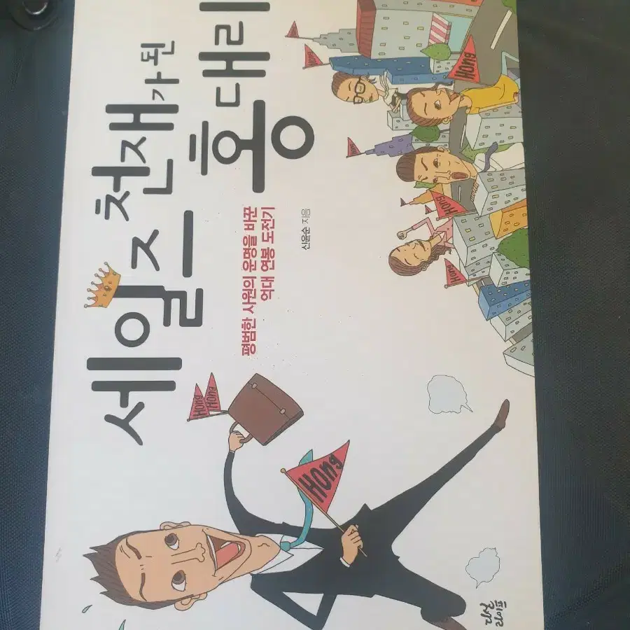 서적 세일즈 천재가된 홍대리