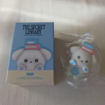 변우석 THE SECRET LIBRARY 픽업 BWS