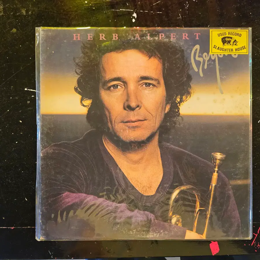 트럼펫 연주자이자 A&M Records의 설립자인 허브 알퍼트(Herb Alpert)가 1980년에 발표한 정규 스튜디오 앨범 Beyond의 일본 오리지널 초판 LP