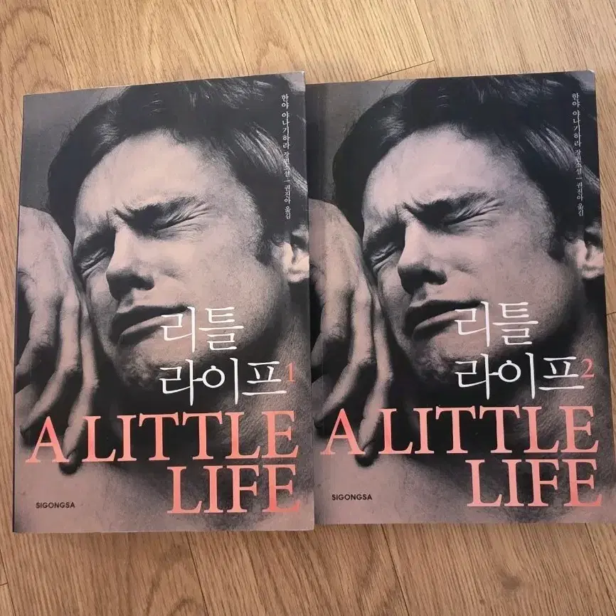 리틀라이프 일괄