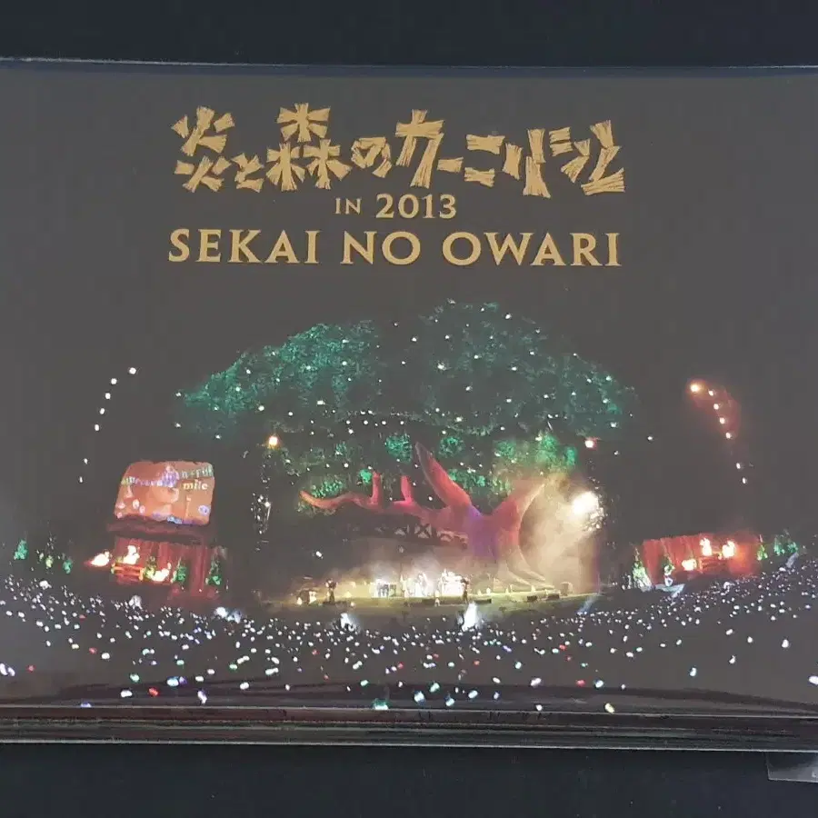 세카이노오와리 라이브 공연 영상 불길과 숲의 카니발 IN 2013 (2DVD) SEKAI NO OWARI
