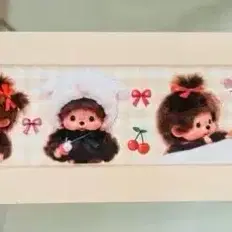 박테) 몬치치 박스테이프