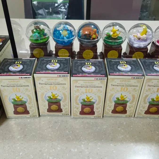 포켓몬 테라리움10 10주년 리멘트 풀셋