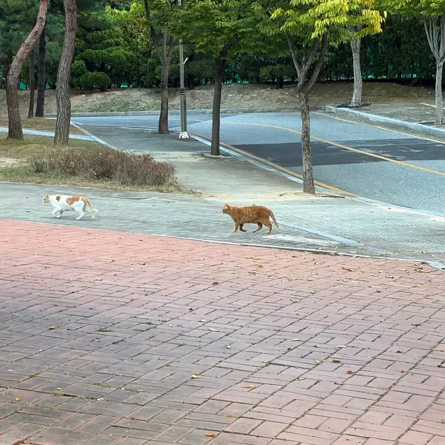 올드 아이폰 구매합니다