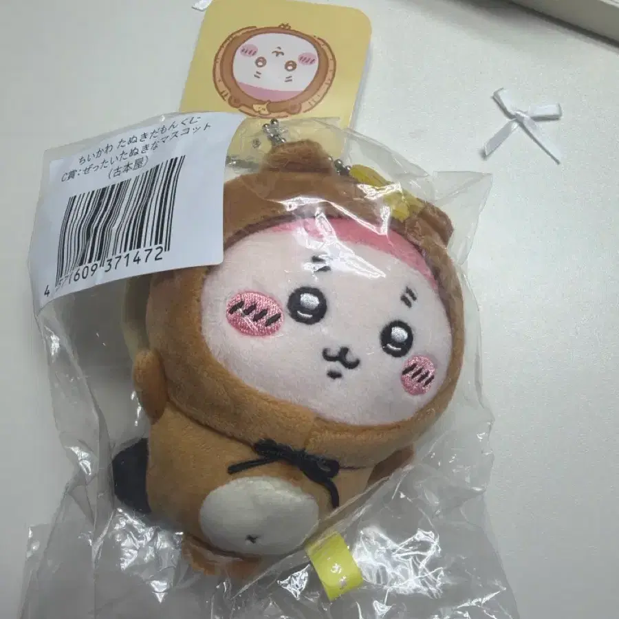 치이카와 너구리 쿠지 c상 카니