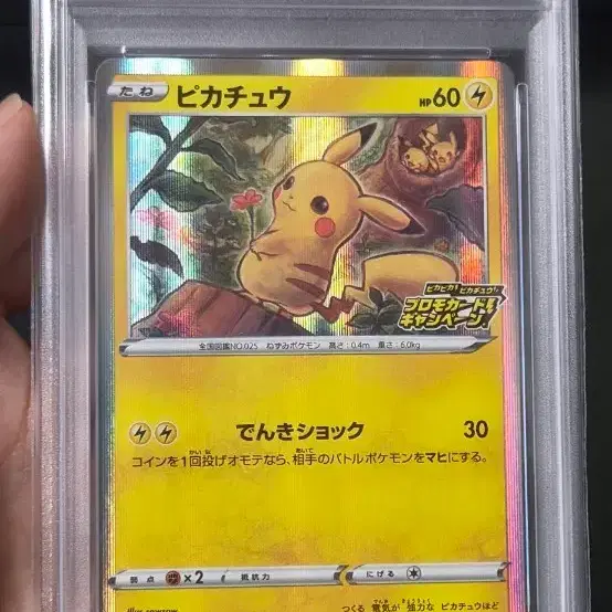 포켓몬카드 피카 피카 프로모 PSA 10 (끝자리69)