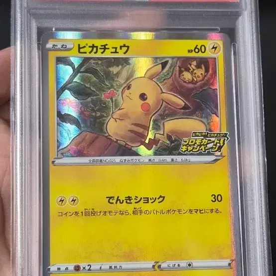 포켓몬카드 피카 피카 프로모 PSA 10 (끝자리70)