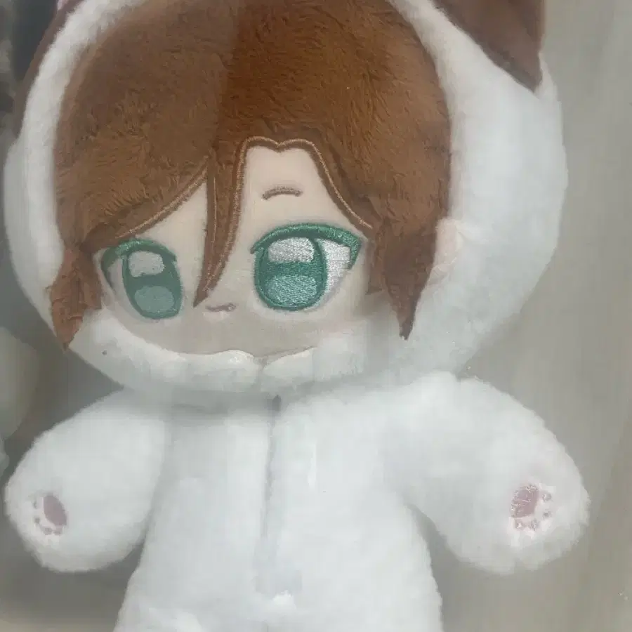 앙스타 마다라 큐티누이 중스타 냥누이
