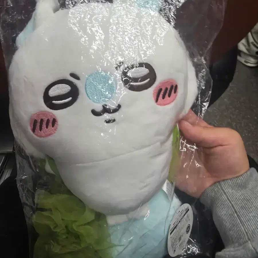 치이카와 인어섬 모몽가 크로스백 쿠지 A상