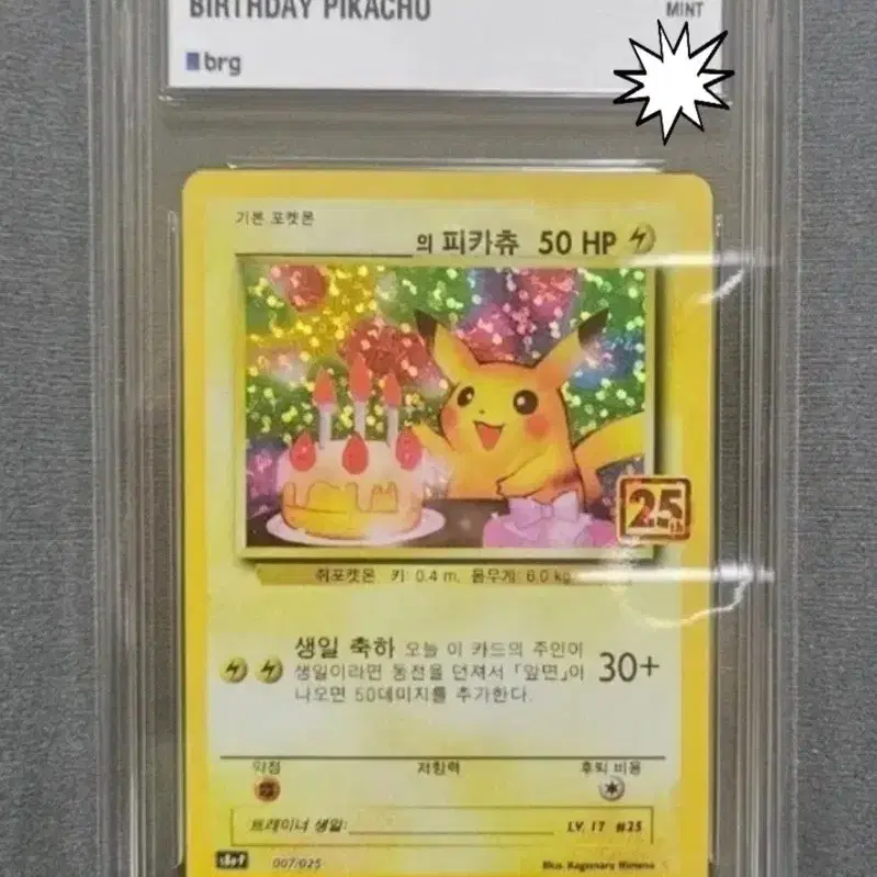포켓몬 생일 피카츄 25주년 포켓몬카드 프로모