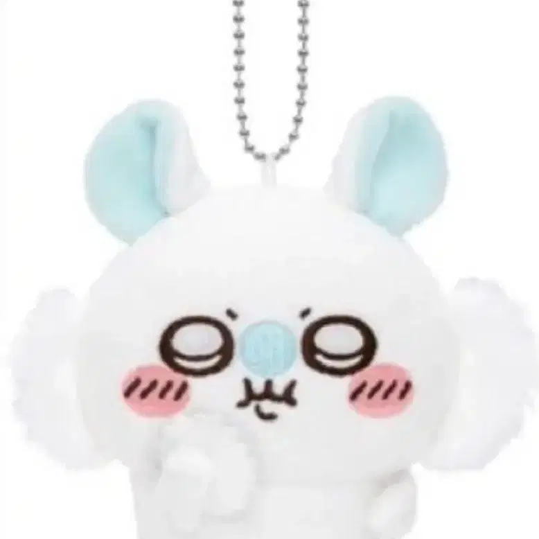 모몽가 투성이 쿠지
