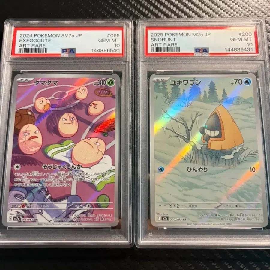 포켓몬카드 psa 10 일괄