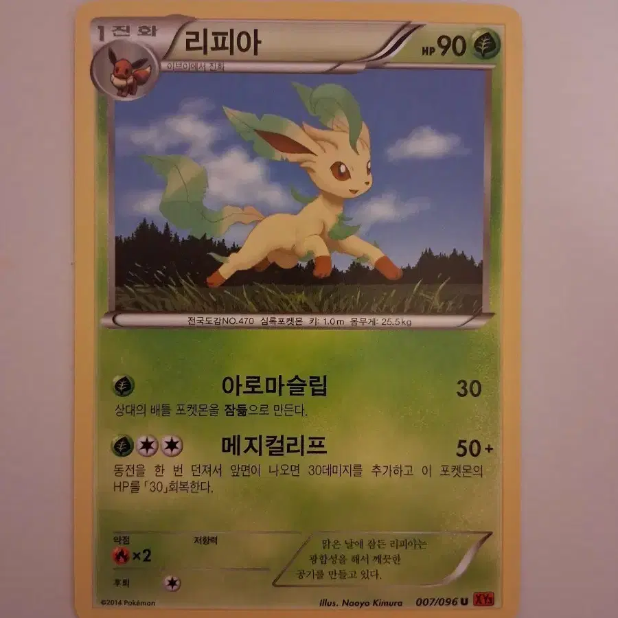 포켓몬카드 2014년 리피아 XY3 007/096