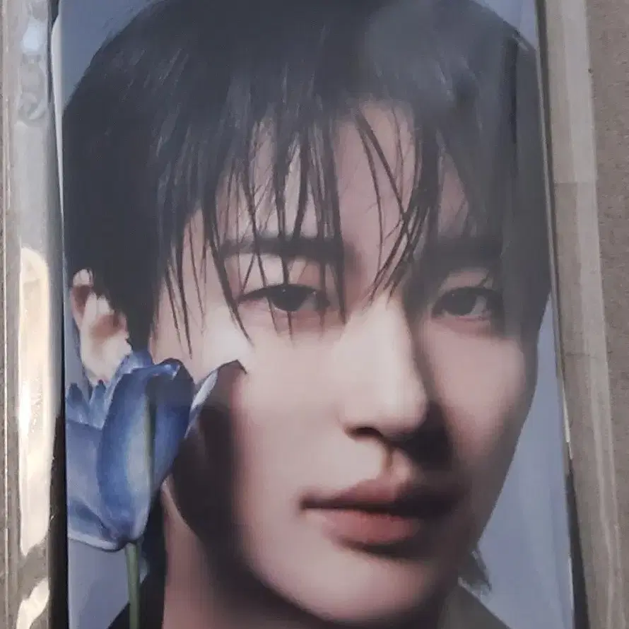 변우석 다슈 포토카드 세트