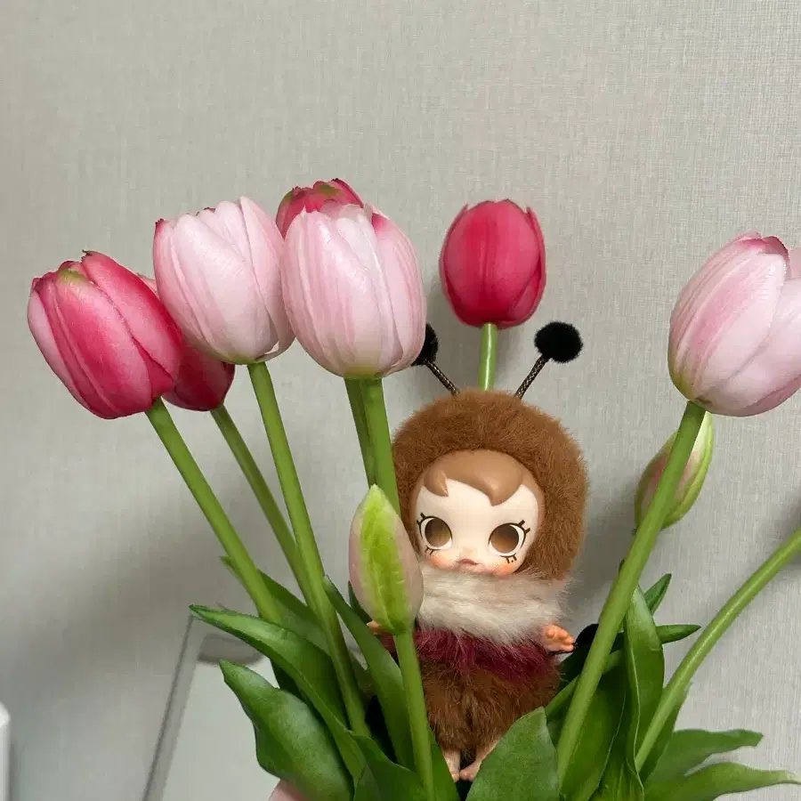 팝마트 몰리 곤충 버그 미개봉 팝니다~