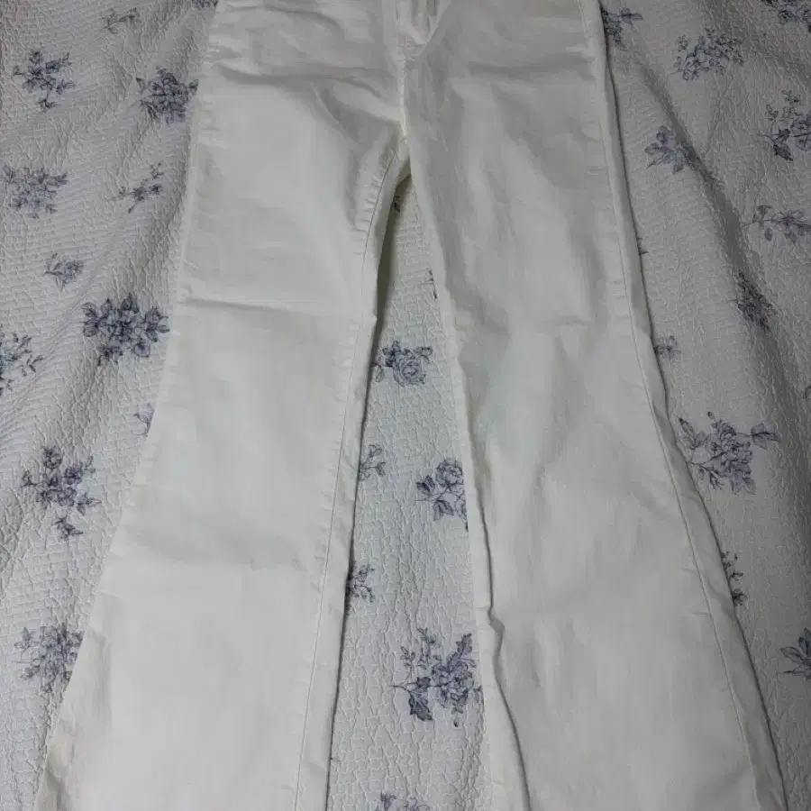 화이트 청바지