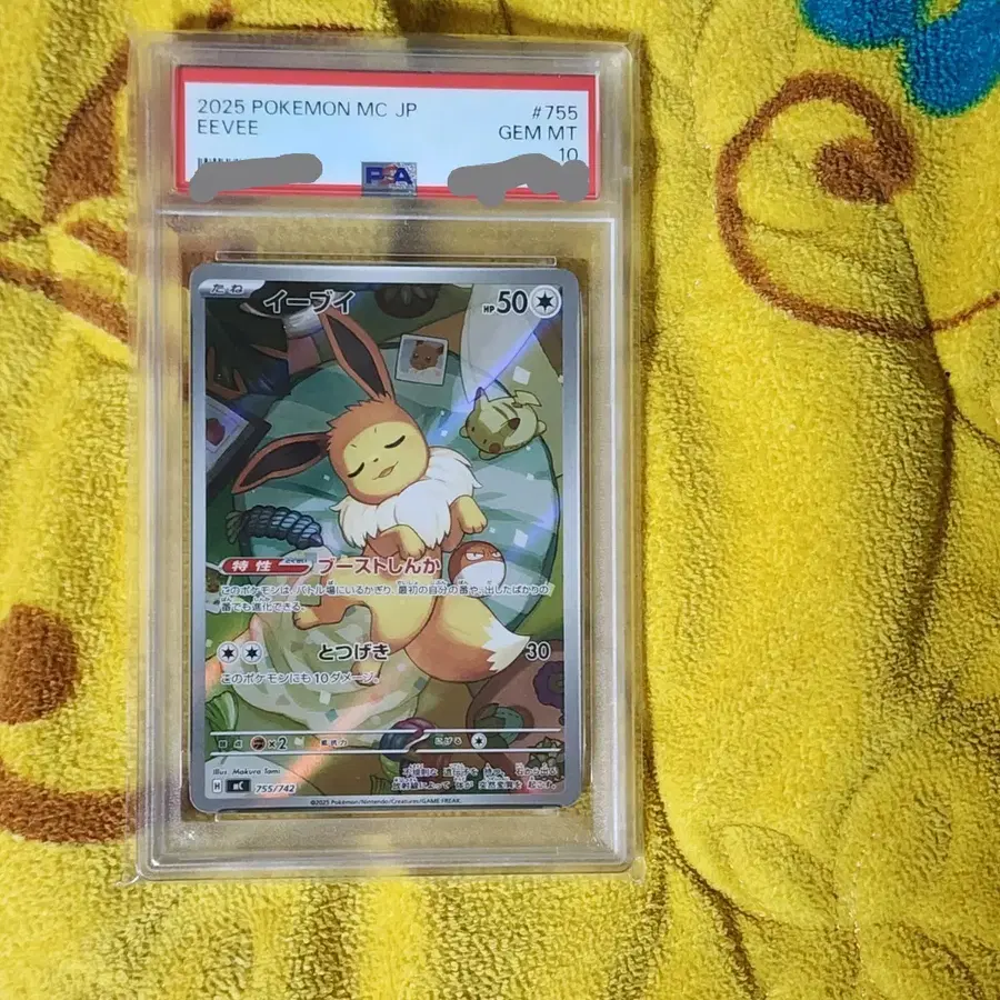 포켓몬카드 이브이 ar 스타트덱 100 배틀컬랙션 PSA 10