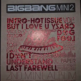 빅뱅(BIGBANG) 미니 2집 Hot Issue | CD/DVD/LP | 번개장터 중고거래