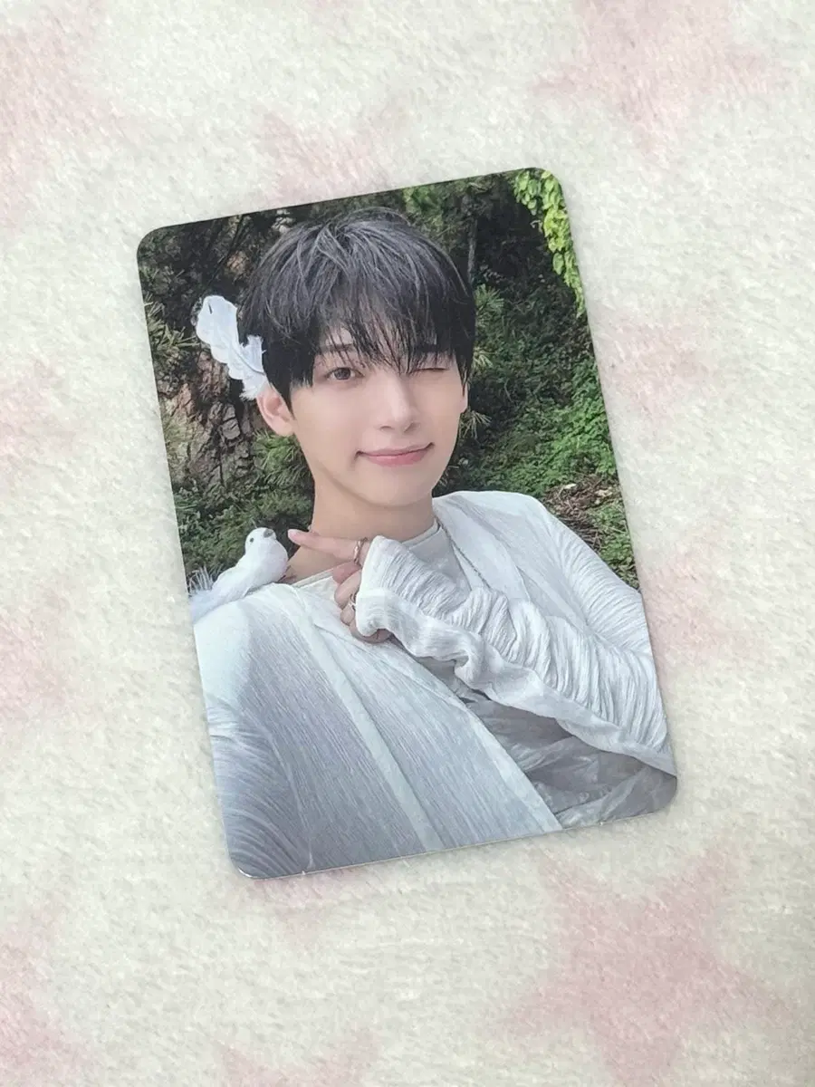 Cravity Koo Jungmo feather Jungmo poca photocard broadcast photocard Normor